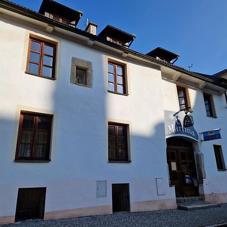 Pension U Martina Domažlice Eksteriør billede